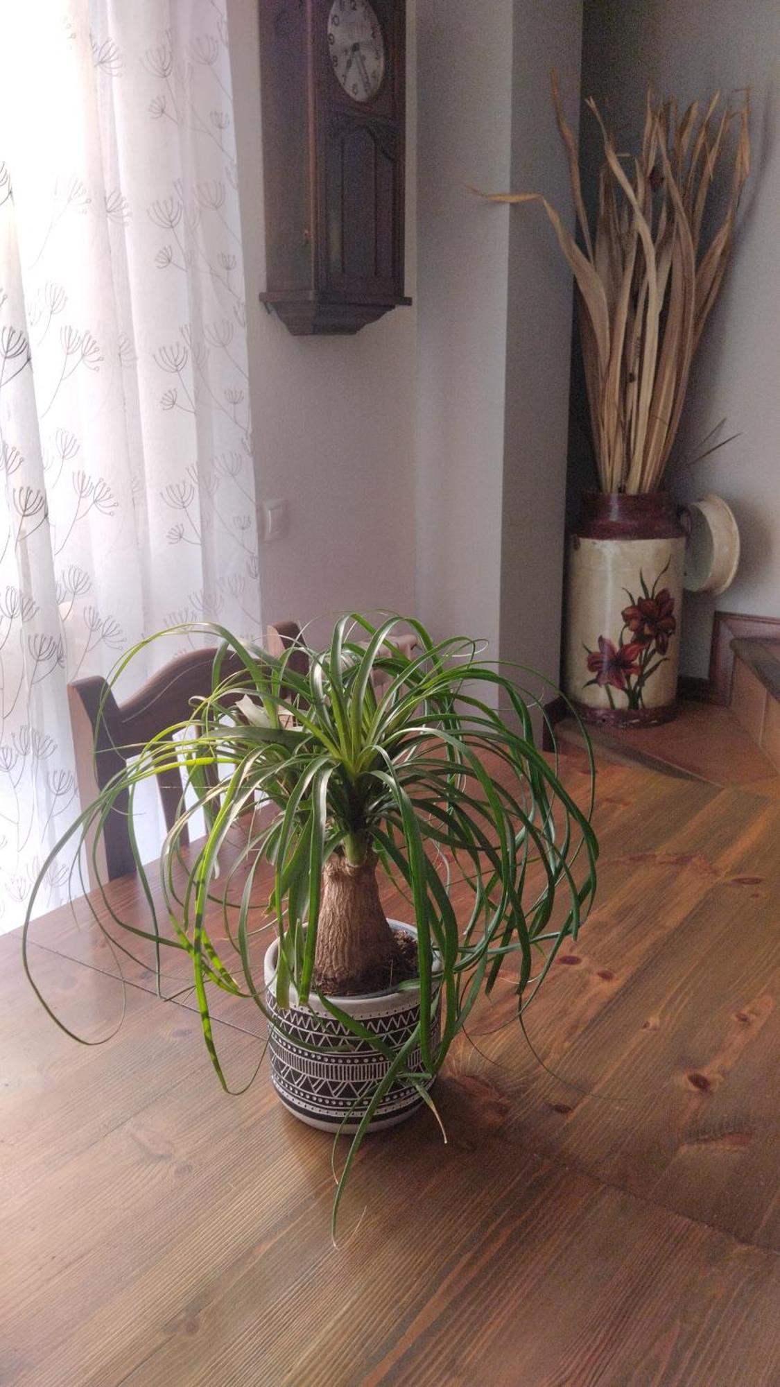 El Balcon De Apartment *
